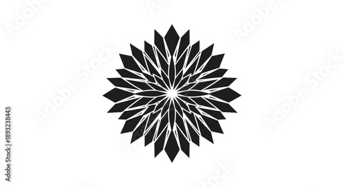 Abstract Black Geometric Floral Starburst Pattern.