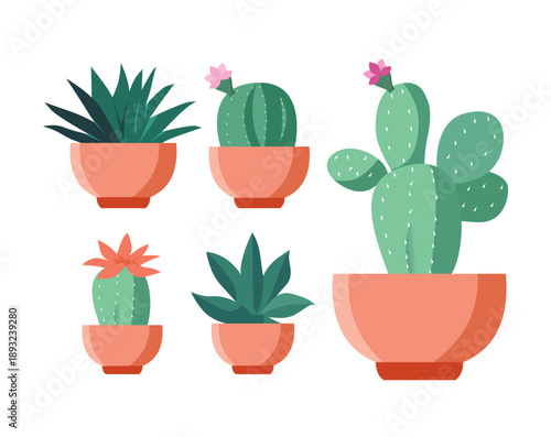 Set of Cactuses in flower pots. Exotic tropical decorative house plants. Flat or cartoon vector illustration for home decor and botanical design. Icons isolated on white background.