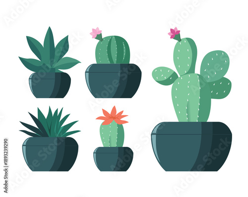 Set of Cactuses in flower pots. Exotic tropical decorative house plants. Flat or cartoon vector illustration for home decor and botanical design. Icons isolated on white background.
