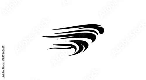 Abstract Black Swirls Representing Motion and Energy.