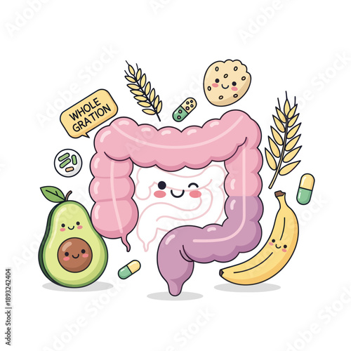 Cartoon Illustration of Human Digestive System.