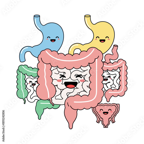 Cartoon Illustration of Human Digestive System Organs.