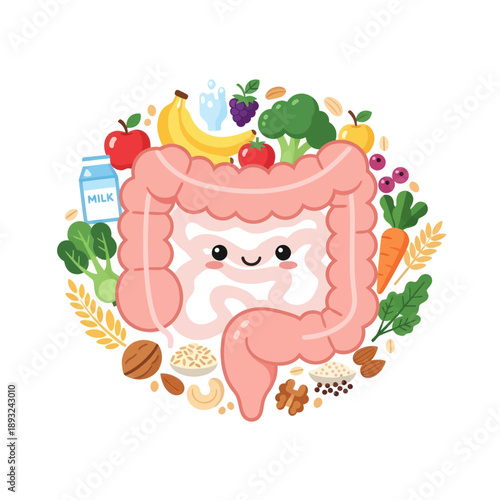 Cartoon Illustration of Human Digestive System with Fruits and Vegetables.