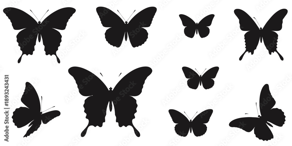 Fototapeta premium Collection of black butterfly silhouettes in various poses