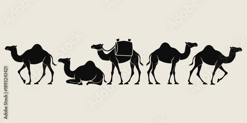 Group of camels walking and resting in desert landscape