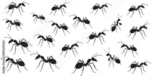 Black silhouettes of ants in various positions and movements
