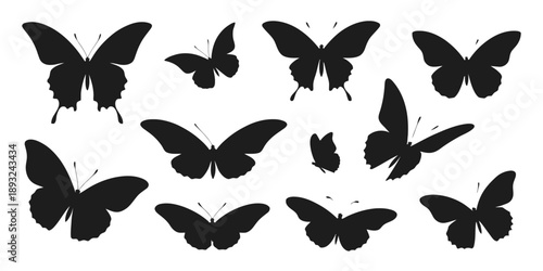 Collection of black butterfly silhouettes in various poses