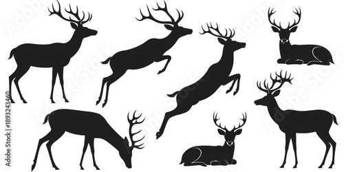 Set of majestic deer silhouettes in various poses