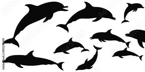 Dolphins jumping and swimming in ocean waves playfully