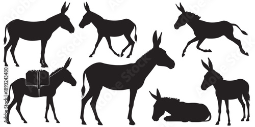 Collection of donkey silhouettes in various poses