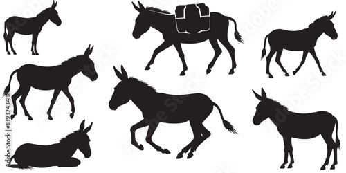 Collection of donkeys in various poses and actions