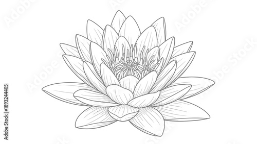 Detailed line art drawing of a beautiful lotus flower with multiple petals and intricate center.