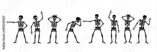 Skeleton Poses Silhouette Set in Different Actions for Halloween and Anatomy Design