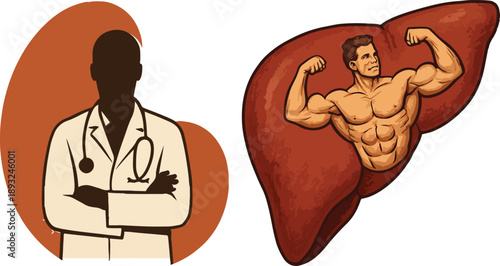 Doctor silhouette with kidney design background, Liver organ with body builder flexing inside