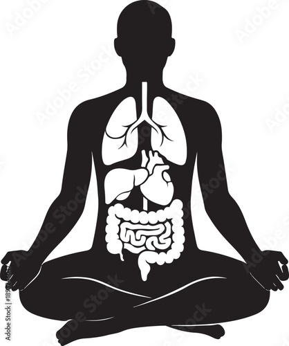 Human body silhouette in meditation pose with internal organs outlined