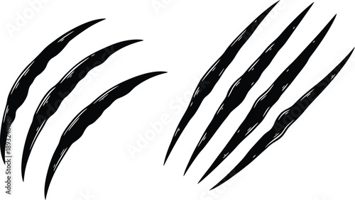 Scratches or Claw Marks - Animal Attack Signs and Wild Beast Danger Symbols