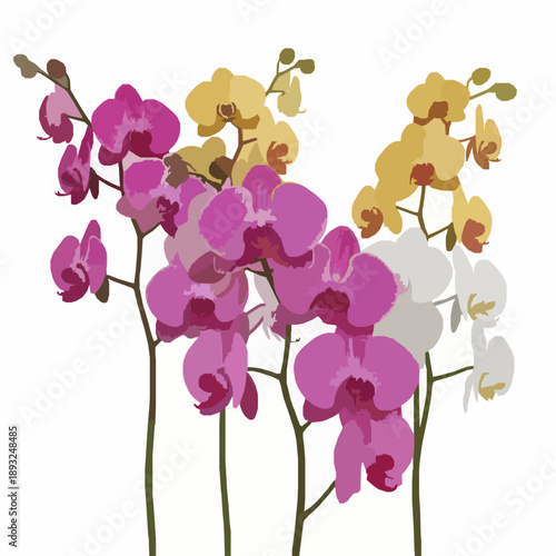 Colorful realistic 3D orchid flowers isolated on white background with clipping path