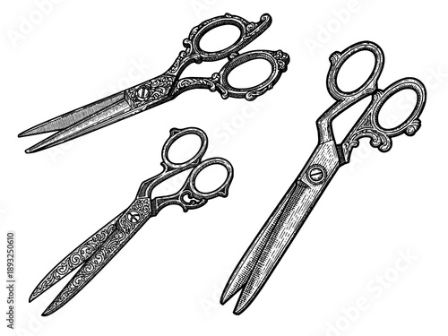 Vintage tailor scissors engraving illustration for fashion branding