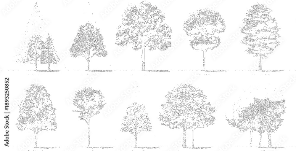 Fototapeta premium Ten different tree outlines with detailed foliage and trunks silhouette nature plant