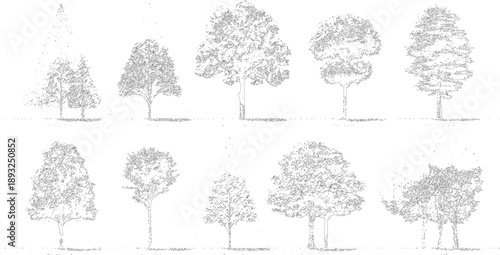 Ten different tree outlines with detailed foliage and trunks silhouette nature plant