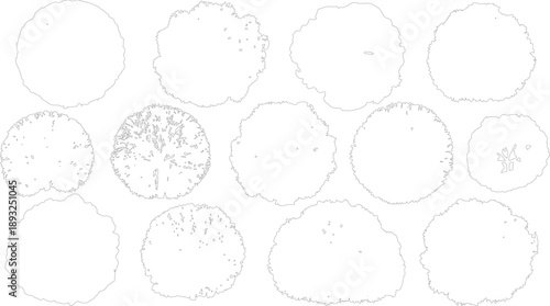 Collection of irregular circular shapes with organic outlines and internal details circle