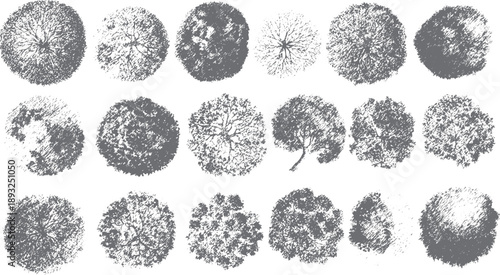 Collection of stylized grey tree tops viewed from above trees aerial foliage