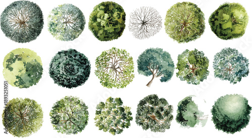 Watercolor view trees collection different green shades and branch structures foliage