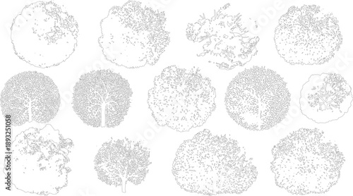 Collection of view tree outlines with varied foliage detail canopy