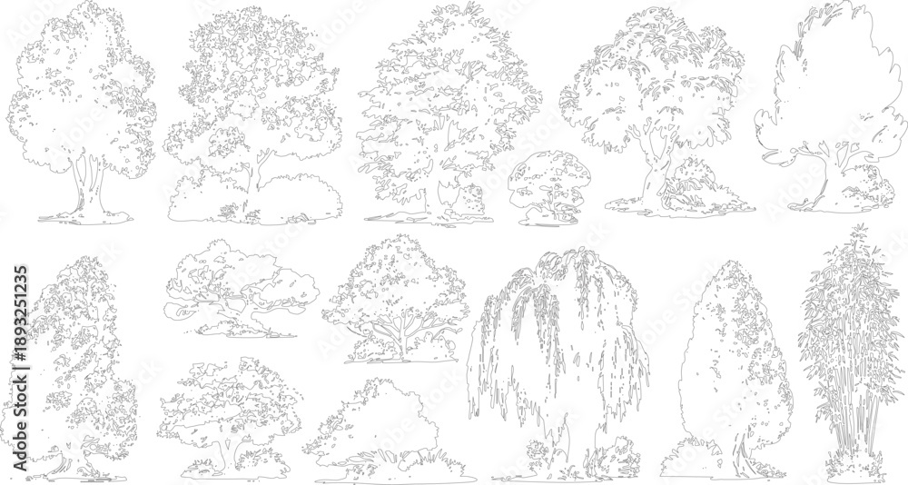Obraz premium Collection of black and white line of various trees and bamboo plants nature foliage