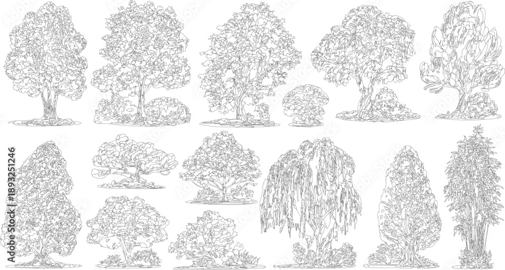 Obraz premium Collection of black and white line of various trees and bushes foliage