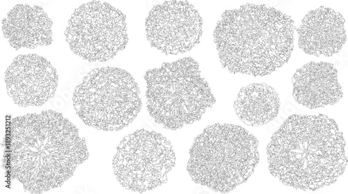 Abstract organic shapes with intricate line patterns texture