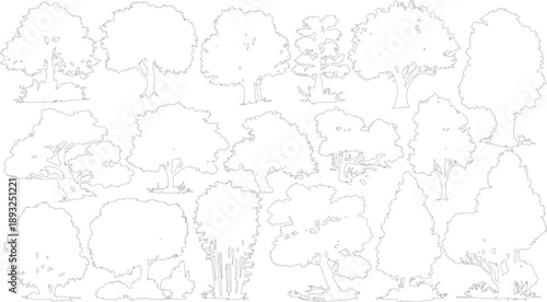 Collection of black and white outline of various trees and foliage nature