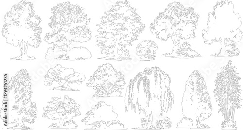 Collection of black and white line of various trees and bamboo plants nature foliage