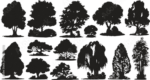 Collection of black tree silhouettes with varied foliage and trunks white nature