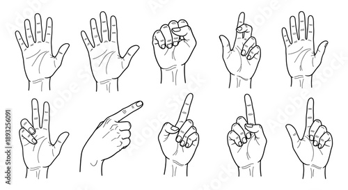 Collection of Hand Gestures and Poses Illustrated.