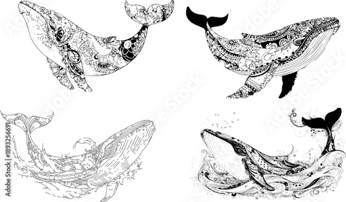 Whales' underwater World: Intricate pen and ink illustrations showcase the majestic beauty of whales, with elaborate details and patterns revealing their grace in the aquatic realm. 