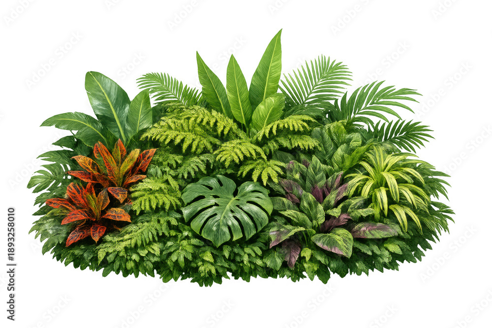 Obraz premium Lush tropical plant arrangement with diverse green and red foliage, creating a vibrant jungle garden background on transparent