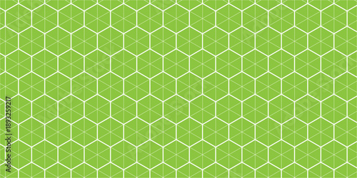 Green and white geometric honeycomb pattern design