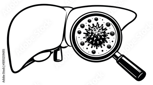 Line art illustration of human liver depicting a viral infection for medical purposes