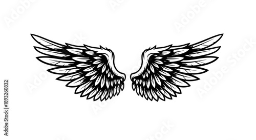 Detailed Black and White Angel Wings Illustration 2.