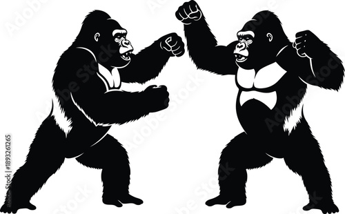 Two gorillas fighting in a fierce battle illustration from a front viewpoint