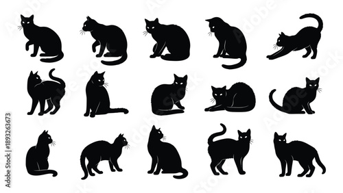 Collection of black cat silhouettes Vector