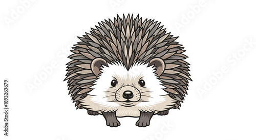 Illustration of a cute hedgehog character with a white face and brown spikes, looking forward with a neutral expression on a plain white background.