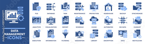 Data management icon collection set. Containing execution, information, filtering, file, database, task, cloud and more. Solid vector icons collection