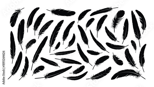 Scattered black feathers illustration Vector