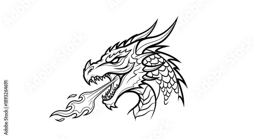 Detailed illustration of a fierce dragon head breathing fire.