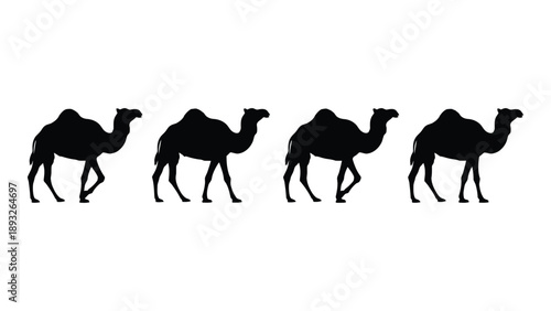 Four camels walking in a row Vector