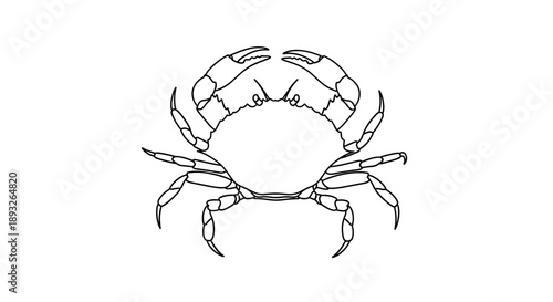 Detailed Line Art Illustration of a Crab.