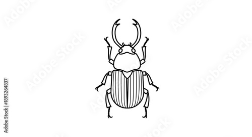 Detailed Line Art Illustration of a Stag Beetle.