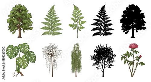 Variety of Trees and Plants Silhouettes.